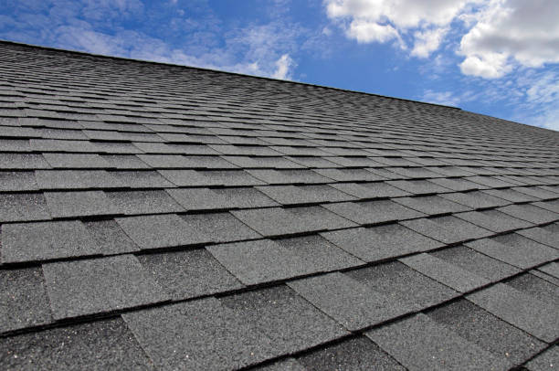 Best Rubber Roofing (EPDM, TPO)  in East Grand Rapids, MI