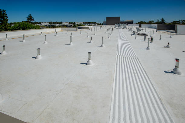 Best Metal Roofing Installation  in East Grand Rapids, MI